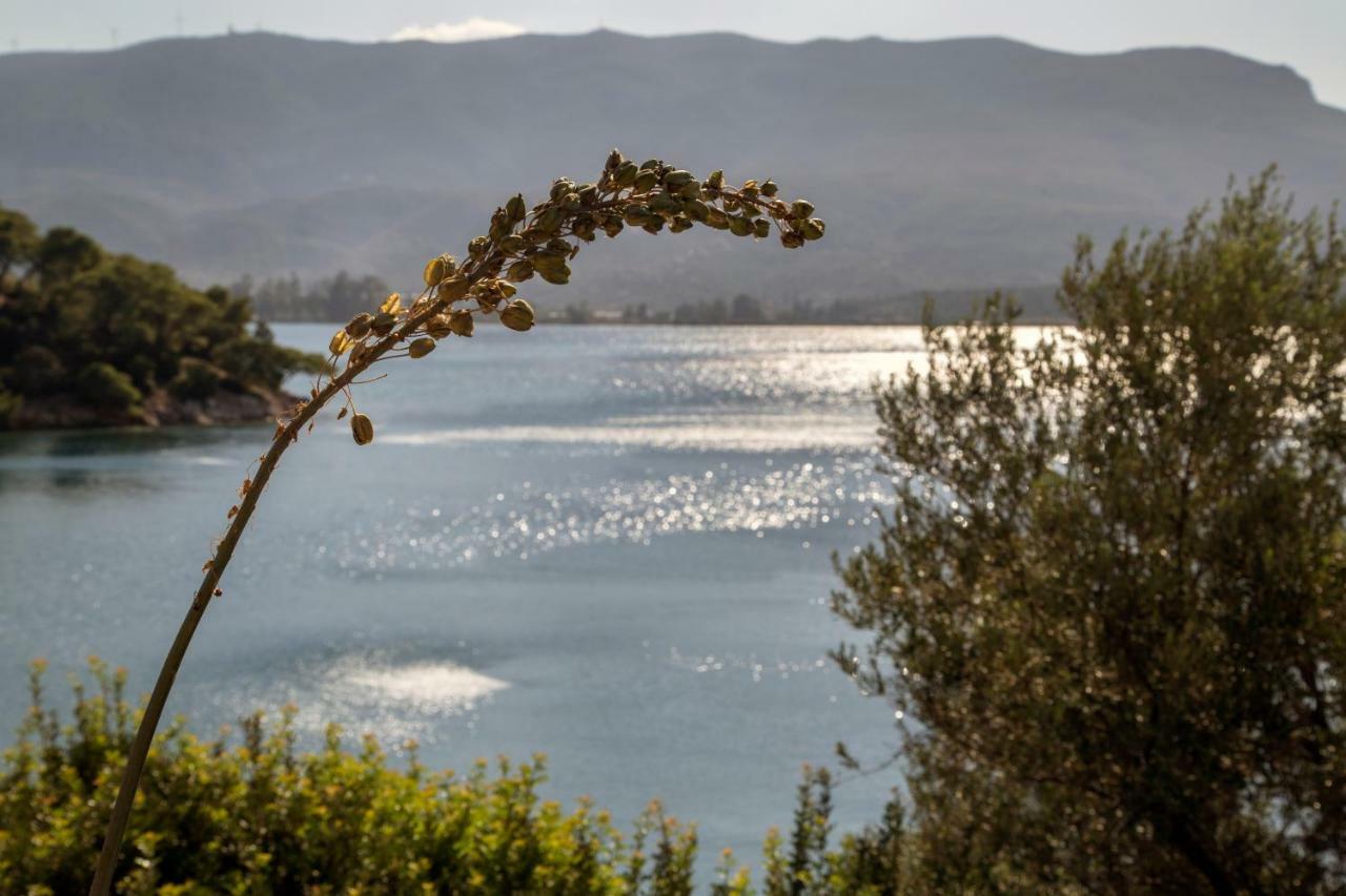 Kalavria Luxury Suites - Magnificent Sea View Of Poros Πόρος Εξωτερικό φωτογραφία